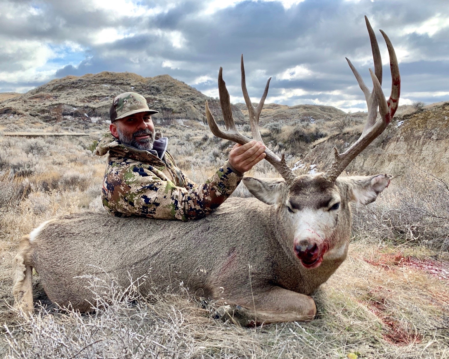 Montana Mule Deer